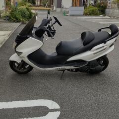 マジェスティ125cc  並行輸入車の画像