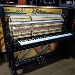 ディアパソン 132AE【倉庫在庫から良品を厳選 / 未整備現状渡し】の画像