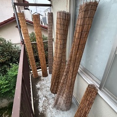 すだれ6つ　※〜10/31まで！の画像