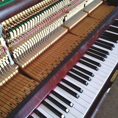 アールウインザー W115【倉庫在庫から良品を厳選 / 未整備現状渡し】の画像