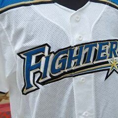 直筆サイ北海道日本ハムファイターズ レプリカユニフォーム 大田泰示 Lサイズ ホーム用 背番号5 日ハム  札幌市 清田区 平岡の画像