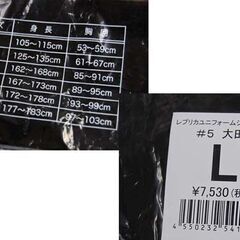 直筆サイ北海道日本ハムファイターズ レプリカユニフォーム 大田泰示 Lサイズ ホーム用 背番号5 日ハム  札幌市 清田区 平岡の画像