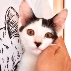 ●笑える前髪●一緒に寝る甘えん坊●食いしん坊