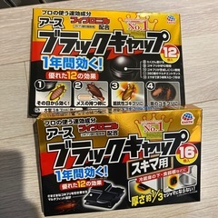 お譲り先決定しました★アース　ブラックキャップ