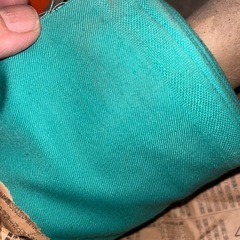 布　グリーンの画像