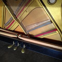 ワグナー W2　WAGNER【倉庫在庫から良品を厳選 / 未整備現状渡し】の画像