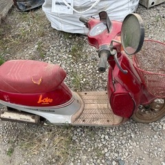 スズキバイクの画像