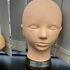 マッサージ練習用マネキン4つの画像