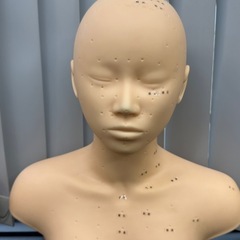 マッサージ練習用マネキン4つの画像