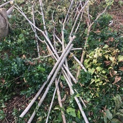 薪の画像