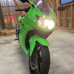 カワサキ NINJA250R 低走行 ワンオーナーの画像