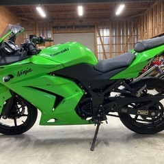 カワサキ NINJA250R 低走行 ワンオーナーの画像
