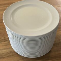 小皿　直径15cm　イノマタ化学株式会社　23枚　細かい傷あり　中古品の画像