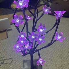 桜の卓上ライトの画像