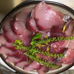 釣り仲間募集　出船日随時 - 町田市