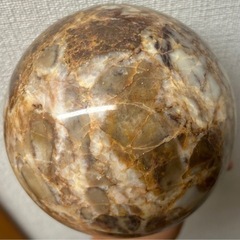 鑑賞石　床の間飾の画像