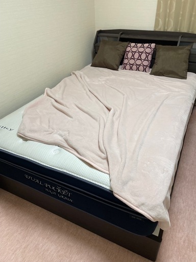 期間限定値下げ ニトリ セミダブルベッド デュアルポケット