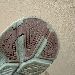 キラキラ光るアナ雪の画像