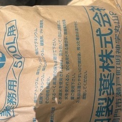人口海水の素の画像