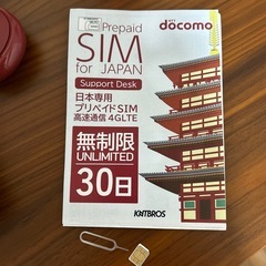 プリペイドSIM 30日