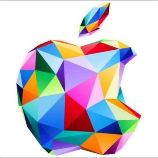 知育玩具 Apple Gift Card