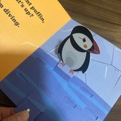 英語の動く仕掛け絵本の画像
