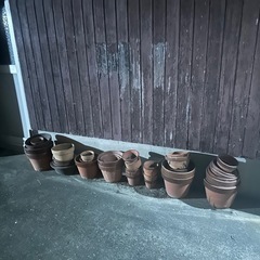 鉢植えまとめての画像