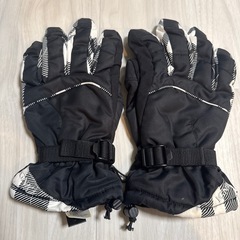イグニオ スノボ 手袋 グローブ スキー 雪用 メンズ レディース