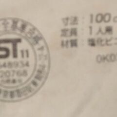 大きめの浮き輪（安全ひも付き）の画像