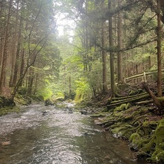 太田市近辺でのんびり遊びません？