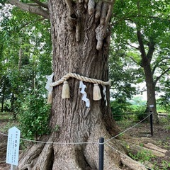 タロット占いの画像