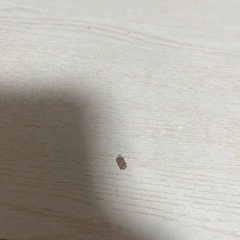 【ニトリ】デスク＋チェアの画像