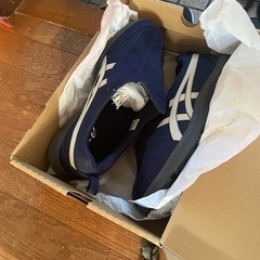 リハビリ用靴の画像