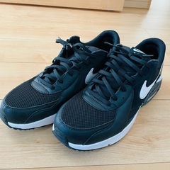 NIKEエアーマックス29cm