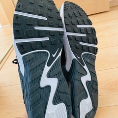 NIKEエアーマックス29cmの画像