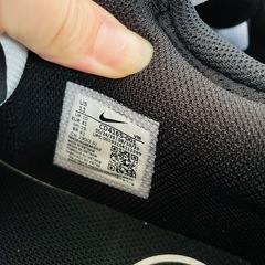 NIKEエアーマックス29cmの画像