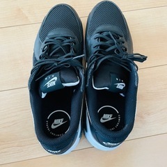 NIKEエアーマックス29cmの画像