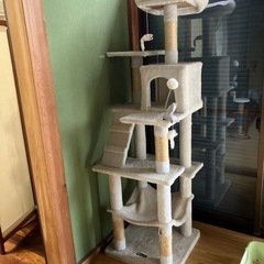 キャットタワー