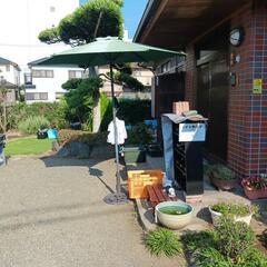 10/19めだか販売