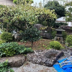 庭石等　差し上げます　貰ってください