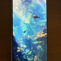 iPhone 15 pro ホワイトチタニウム　256GBの画像