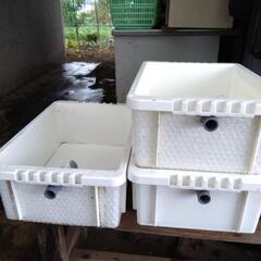 メダカ容器の画像