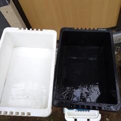 メダカを飼育していた13LBOXの画像