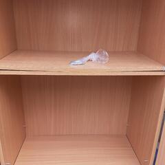 20日本日中に連絡なければ処分！下駄箱　の画像