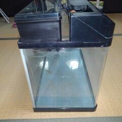 ニッソー曲面水槽60cmセットと用具おまけ(お話し中です)の画像