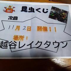 昆虫くじ、販売イベント越谷レイクタウン