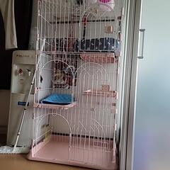 猫の　ゲージ