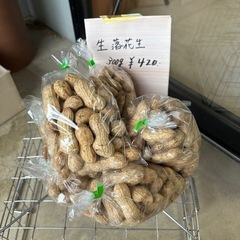 今の時期だけ！生落花生（おおまさり）販売！