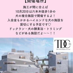 お茶会 - 川崎市