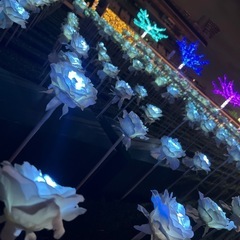 【本日！】東京メガイルミ散策💫 - 品川区